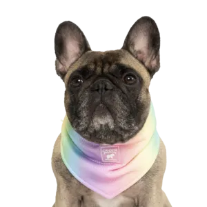 Canada Pooch Cooling Bandana Rainbow