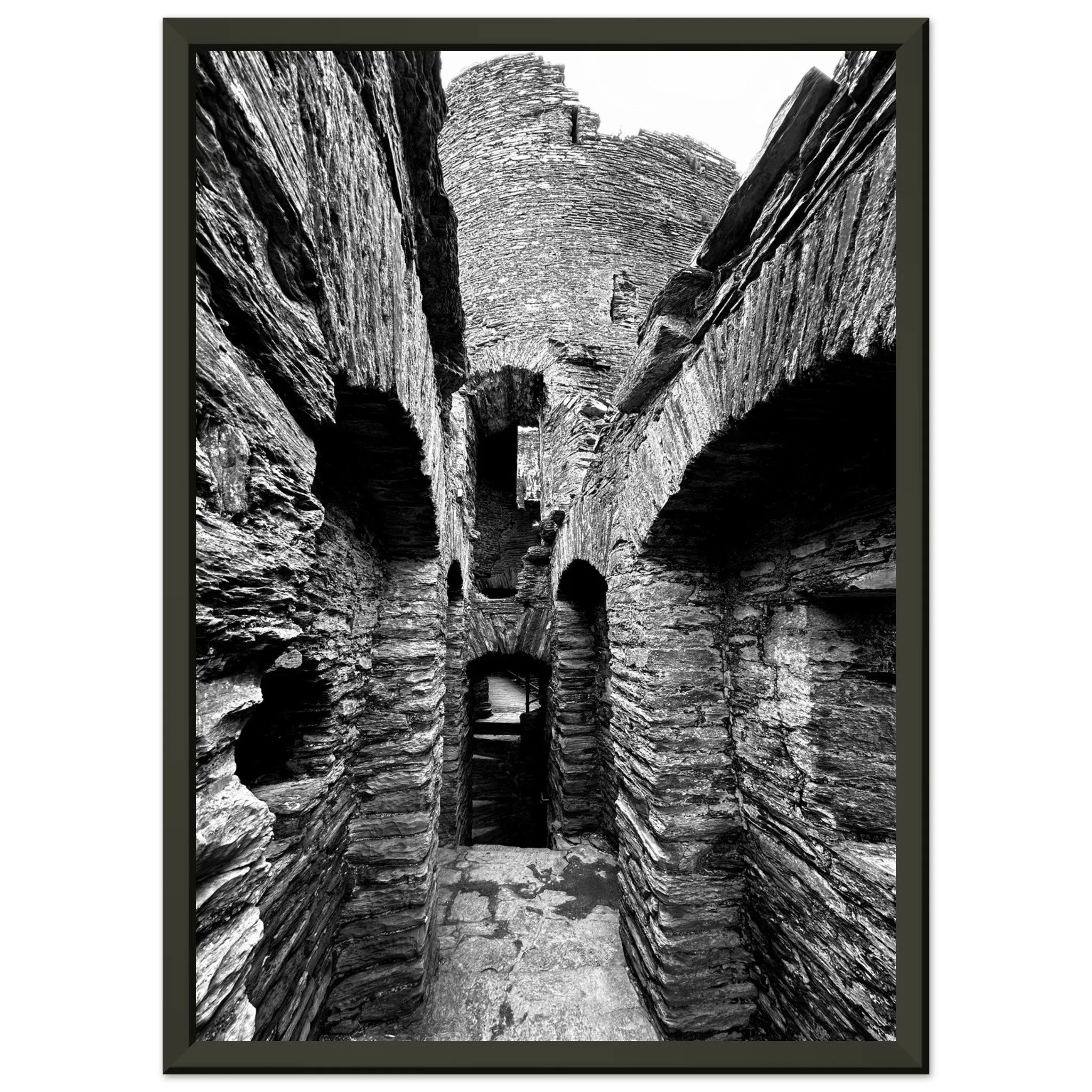 Cilgerran Castle Premium Matte Paper Metal Framed Poster Wall Art