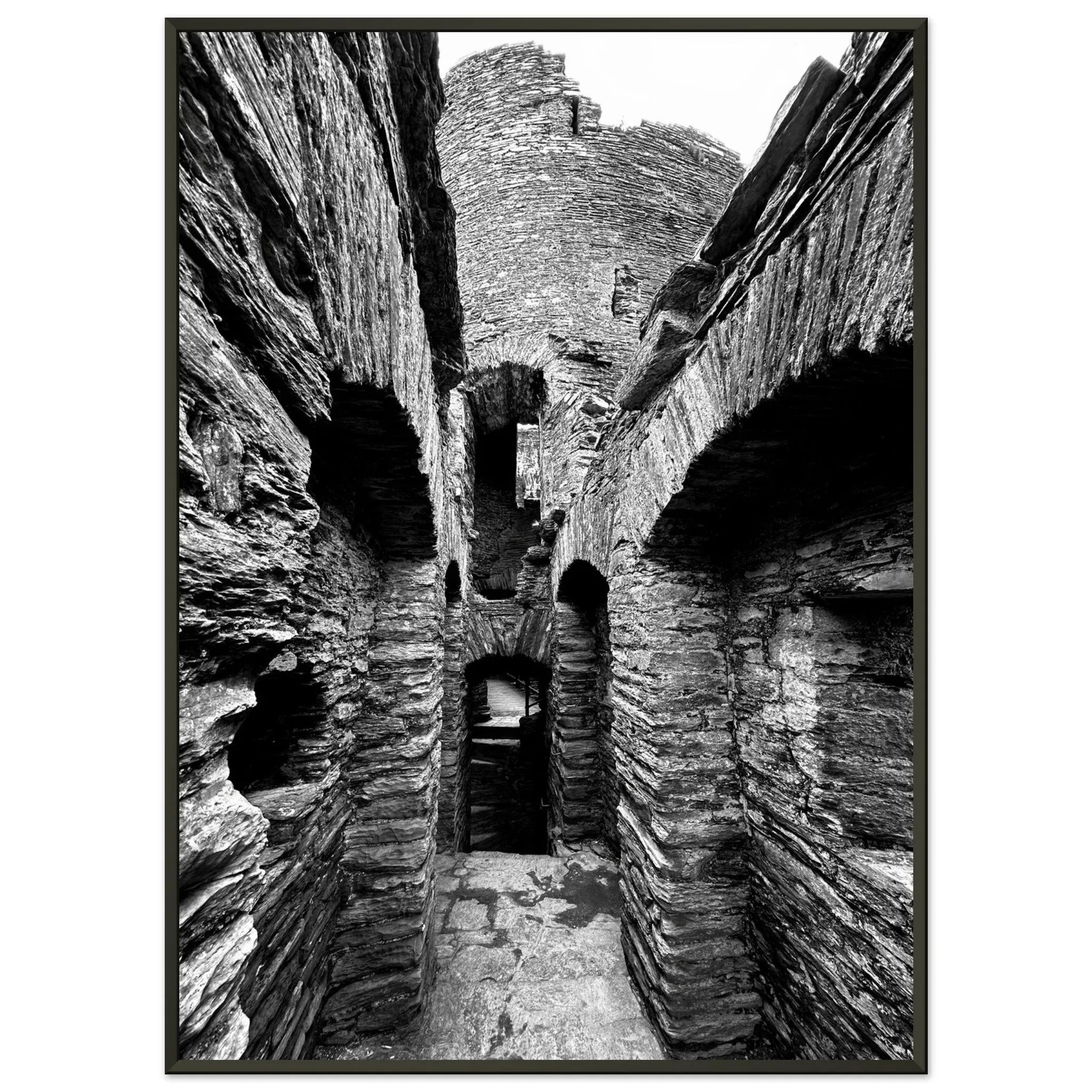Cilgerran Castle Premium Matte Paper Metal Framed Poster Wall Art