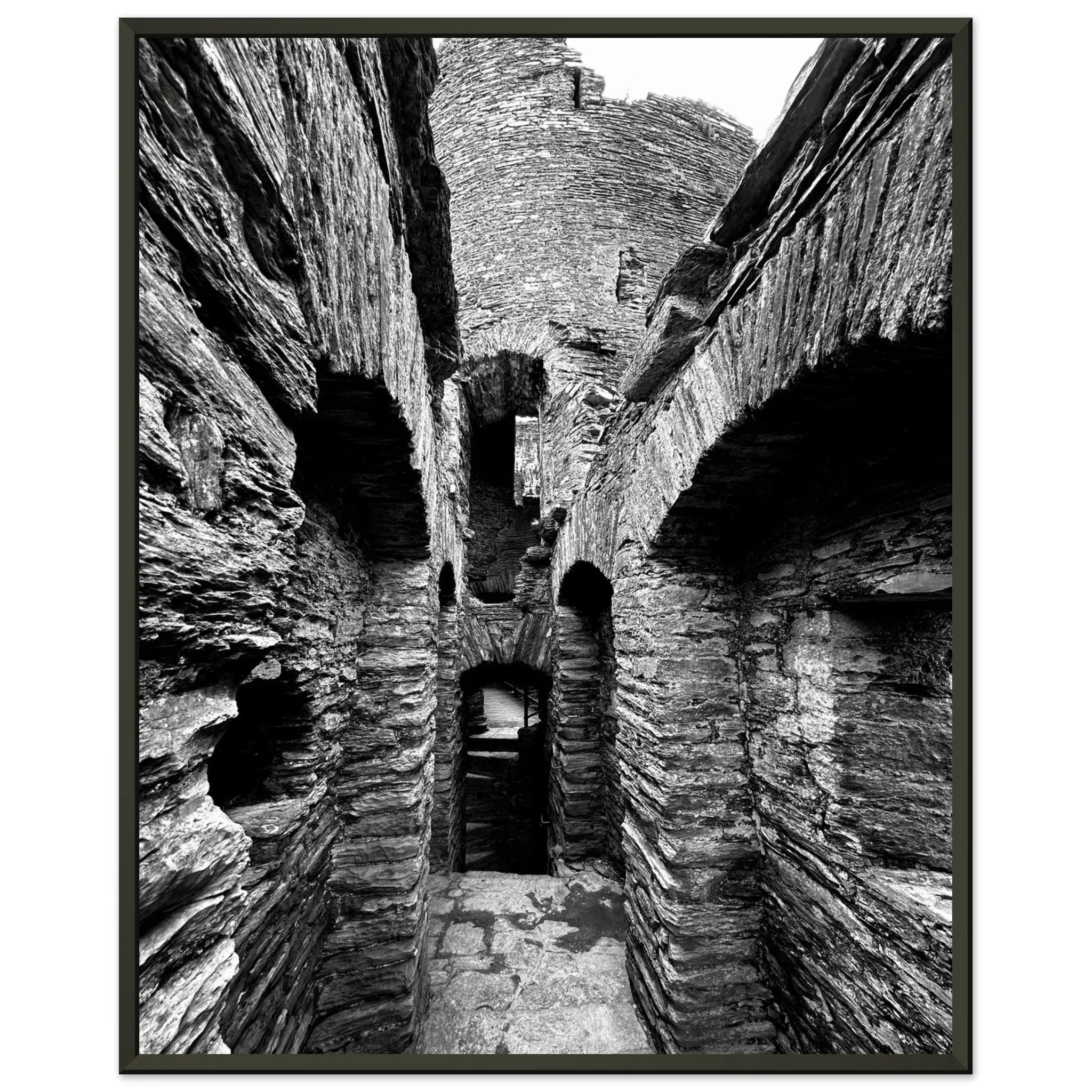 Cilgerran Castle Premium Matte Paper Metal Framed Poster Wall Art