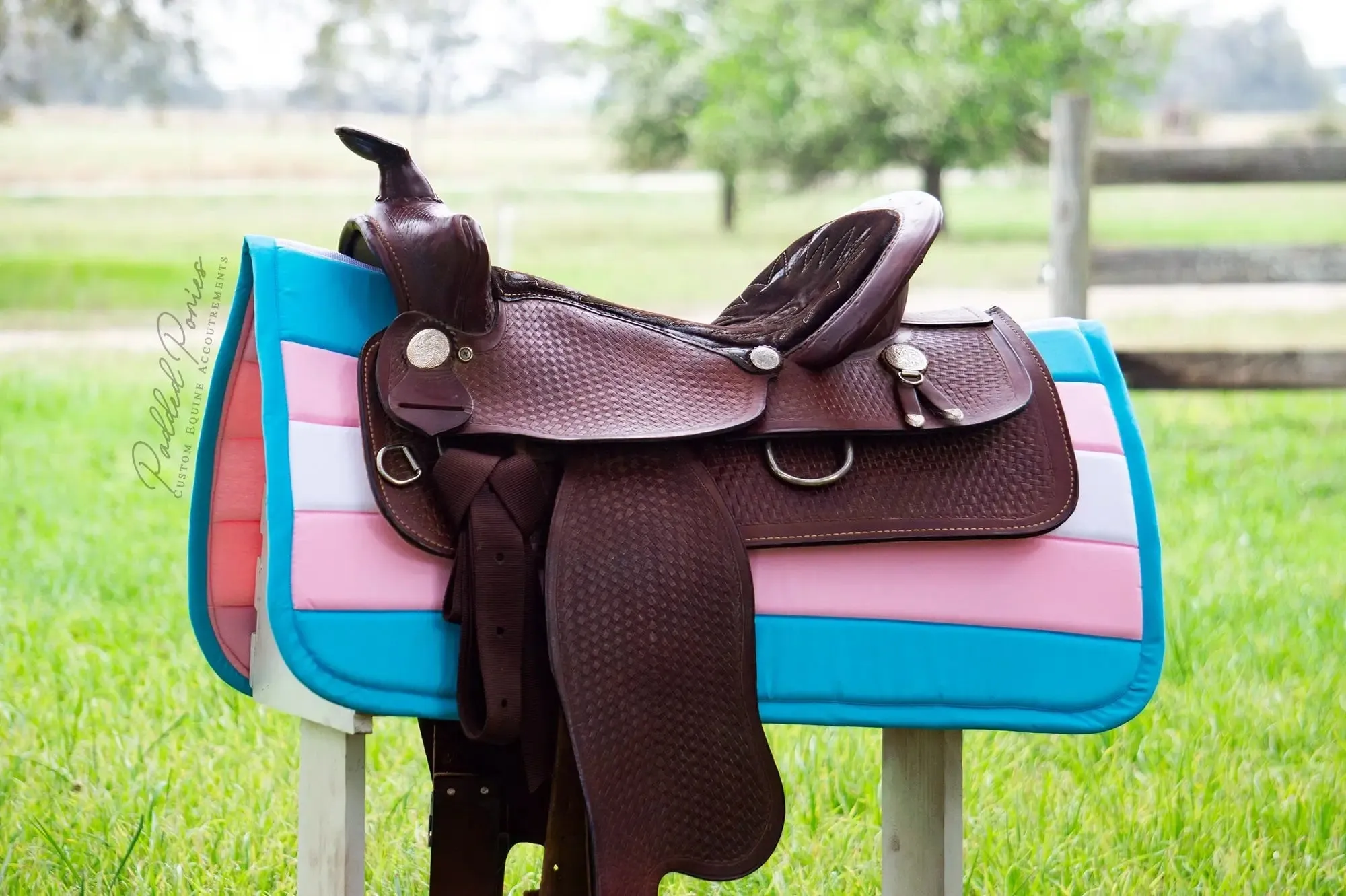 Custom LGBTQ  Pride Flag Saddle Pad