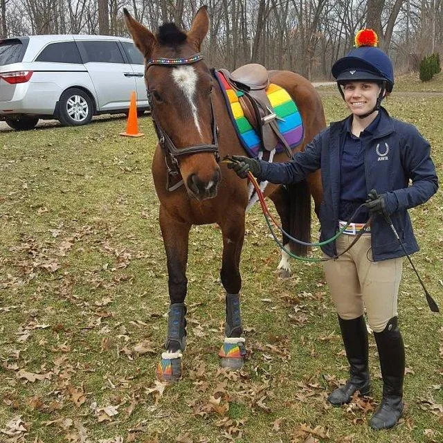 Custom LGBTQ  Pride Flag Saddle Pad