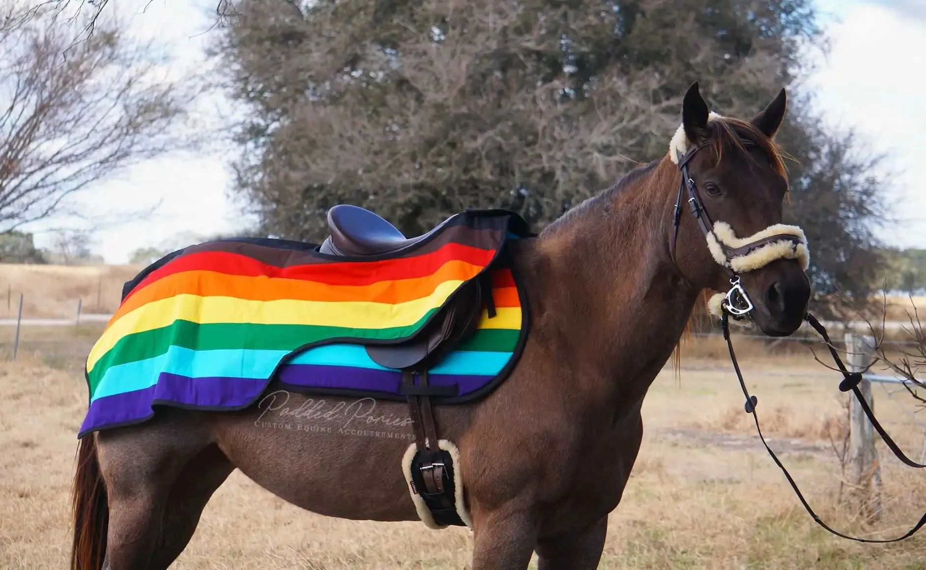 Custom LGBTQ  Pride Flag Saddle Pad