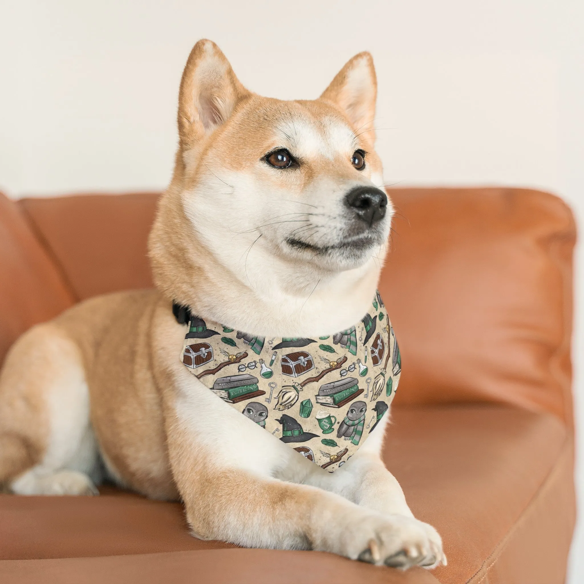 I am a wizard sorting hat wizard house Slyth Pet Bandana Collar