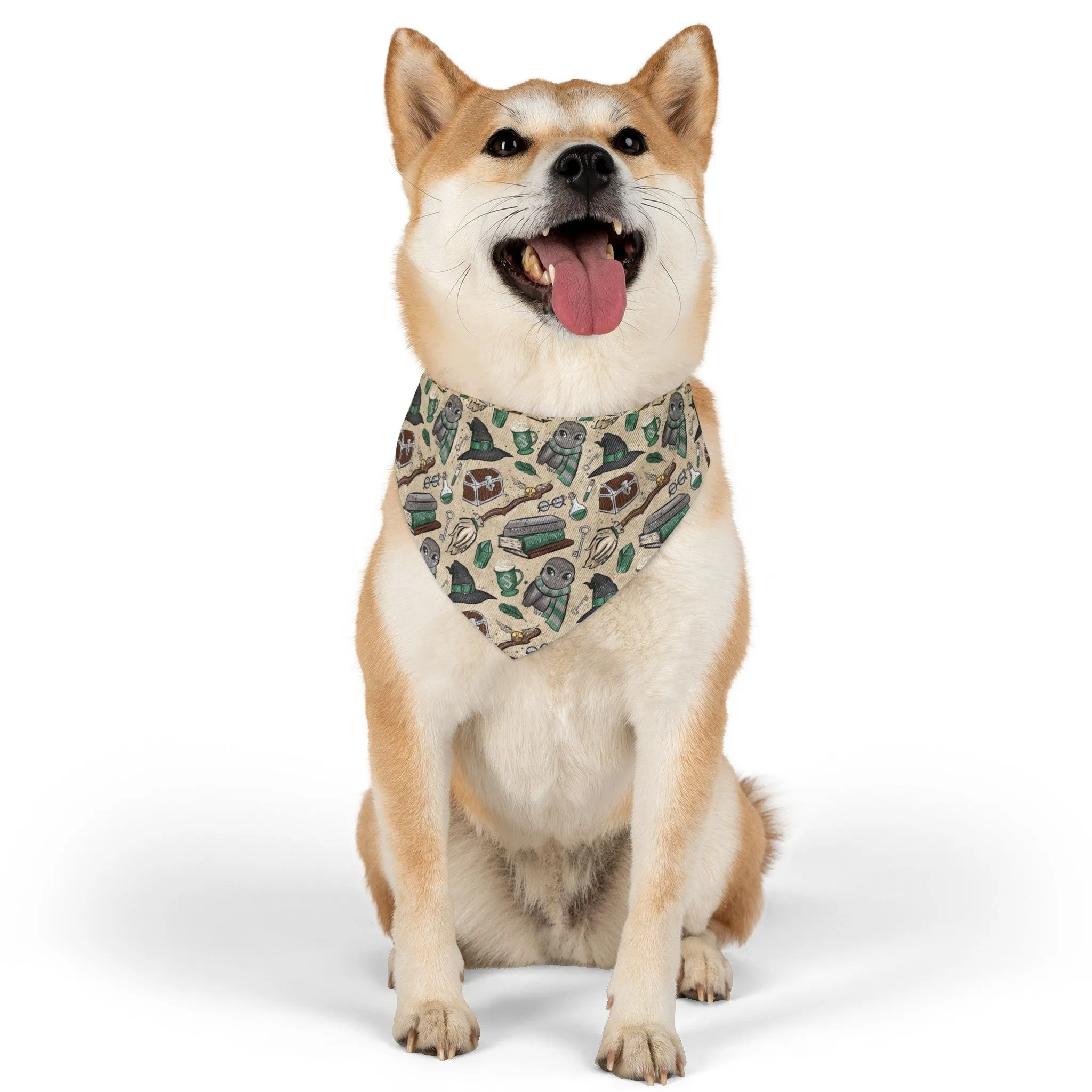 I am a wizard sorting hat wizard house Slyth Pet Bandana Collar