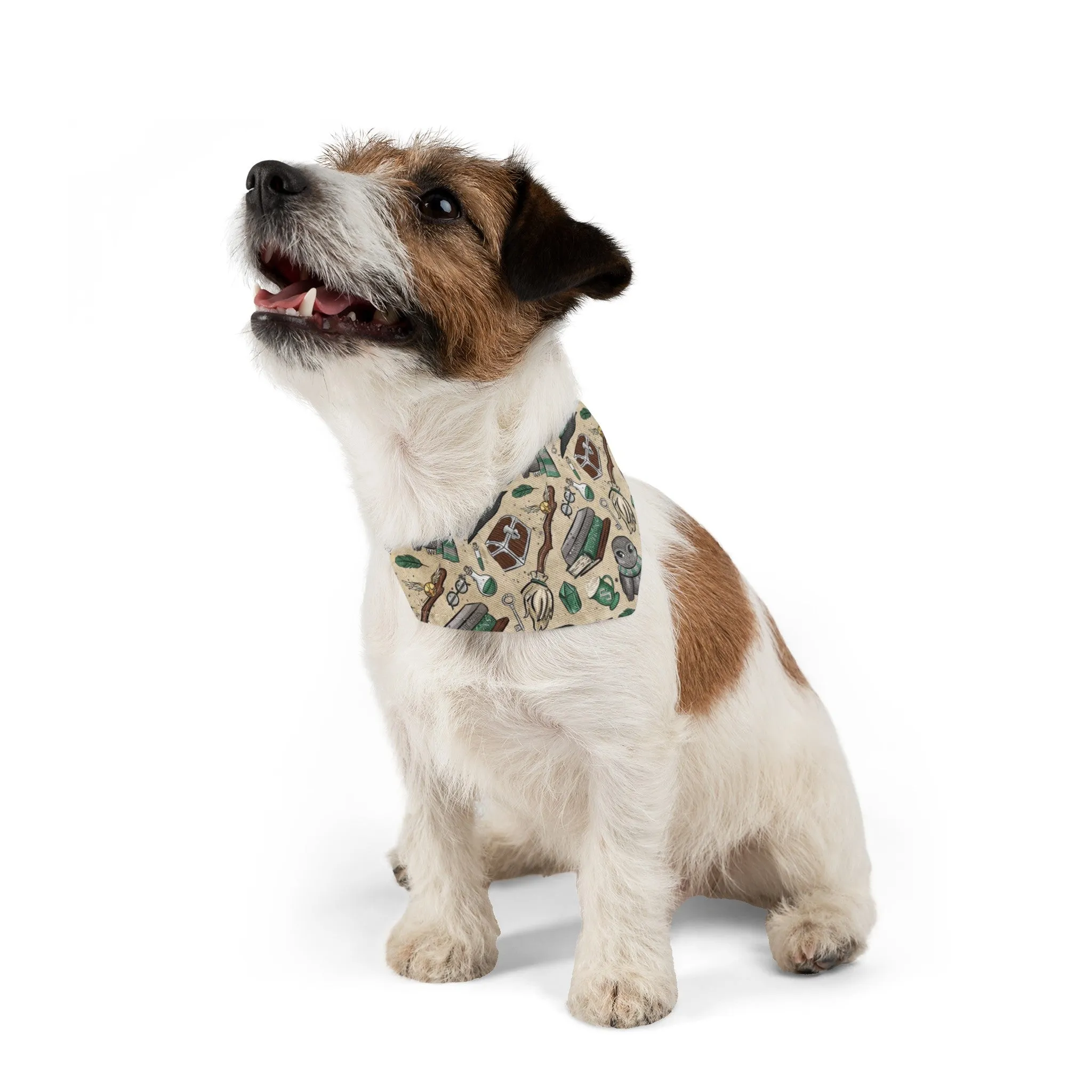 I am a wizard sorting hat wizard house Slyth Pet Bandana Collar